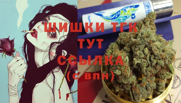 стафф Осташков
